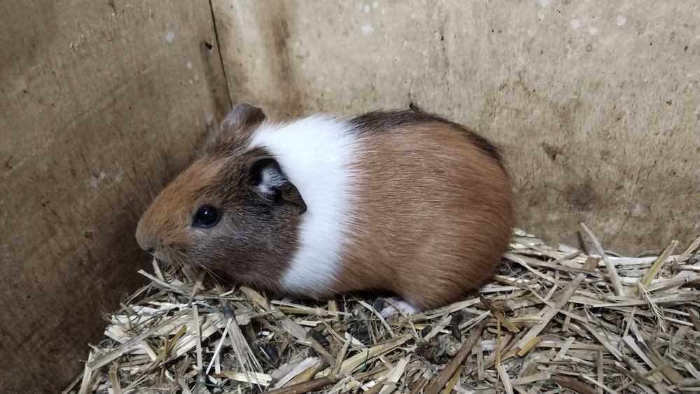 Dengizchilarning xotinlari shaxsiy fotosurati