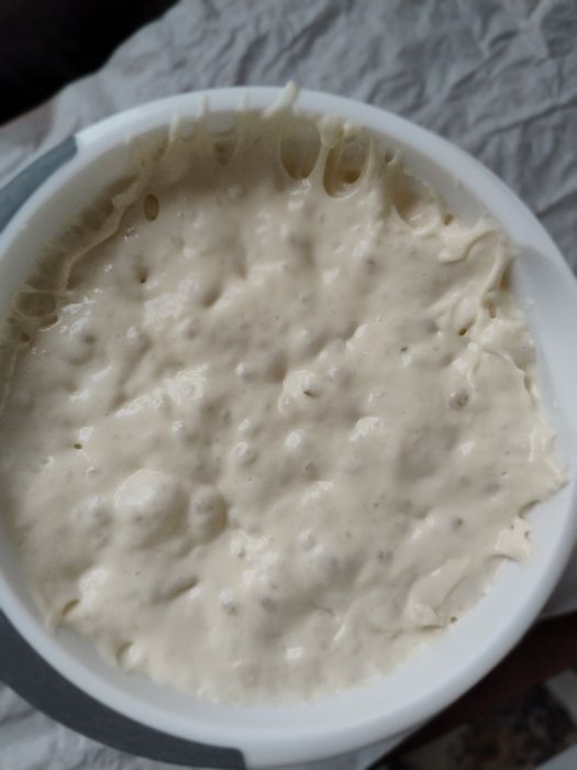 Vand maia activa proaspata si uscata