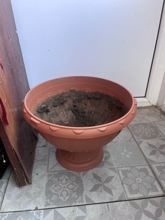 горшок для цветов
