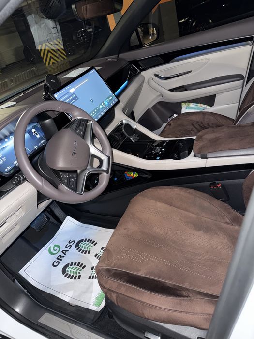 Byd champion restayling