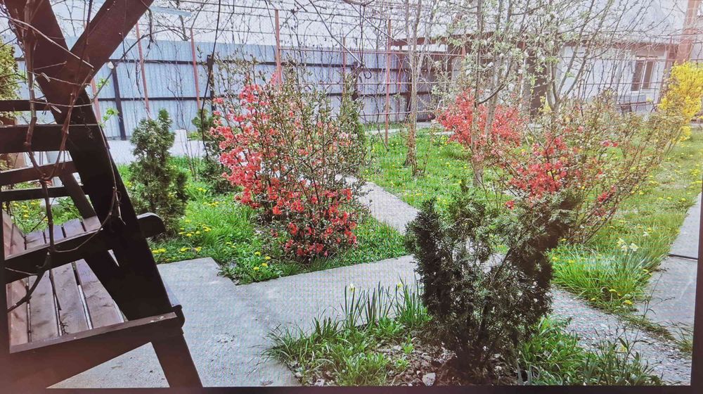 Teren la 15km de Bucuresti cu 2 case, fundatie, fosa, beci, put apa,