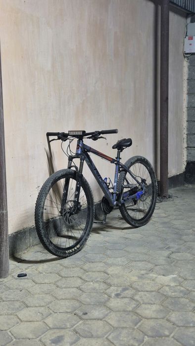 Ava Storm 27.5 .