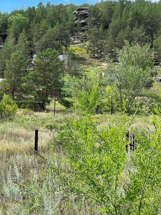 Продам участок на Бухтарме.