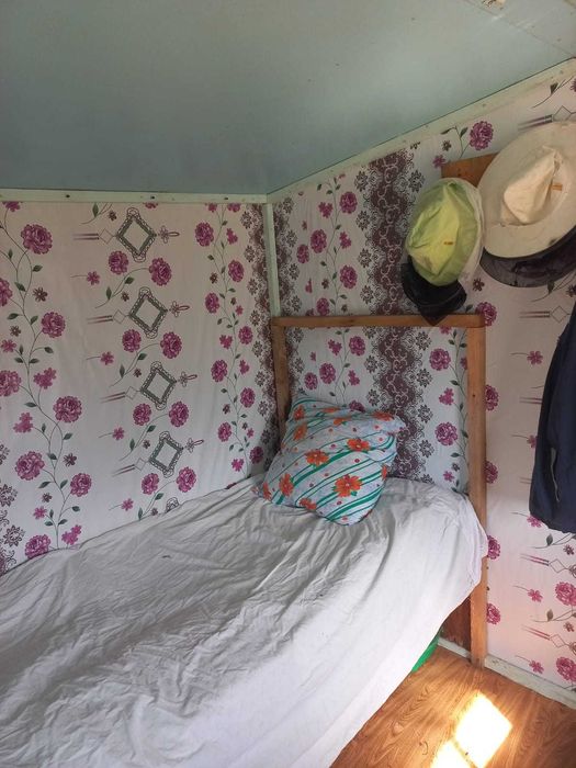 Павильон для пчёл (пчелопавильон)