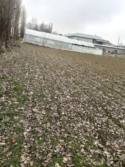 Yangiyo'l tumani M39 betonkani yoni 24 sotix