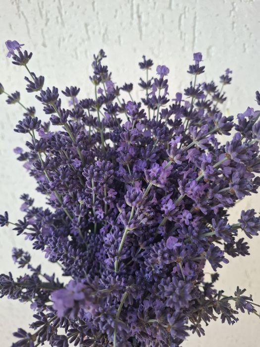 Sirop de lavandă