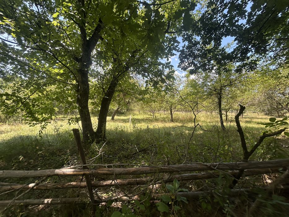 Vand teren 7287 metri patrati in Arges