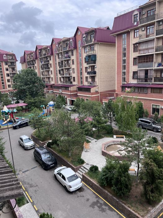 Yettichinor Golden Hause (своя)