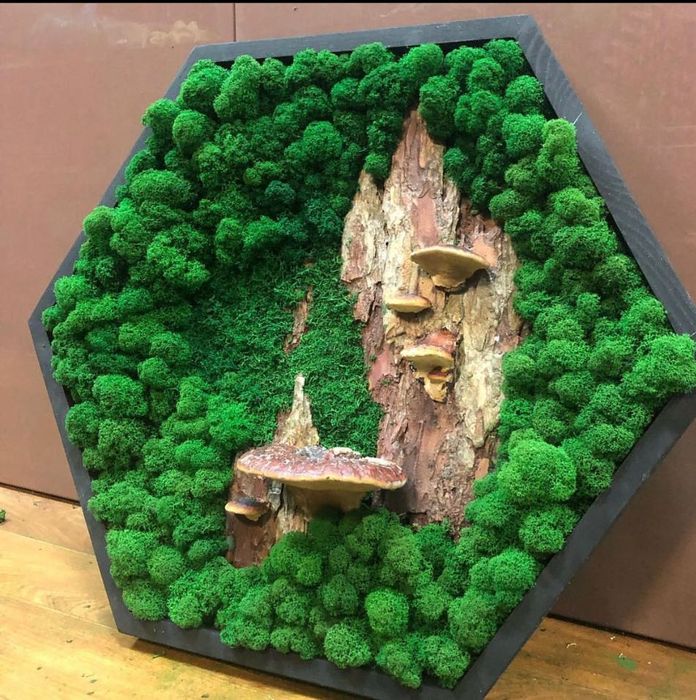 Вертикальное озеленение  растениями и мхом