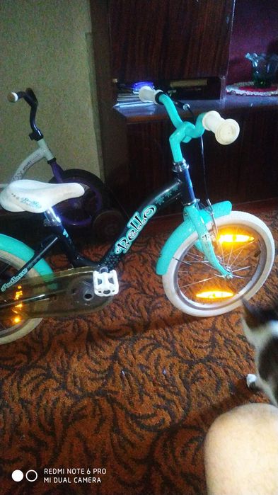 Prodayu srochno 2 velika i samakat