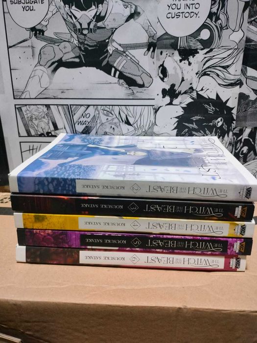 Manga The Witch and the Beast