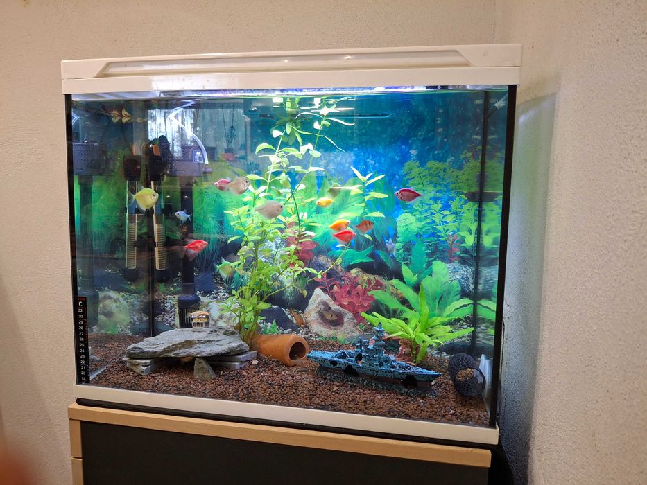 Три аквариума комплект с рибки