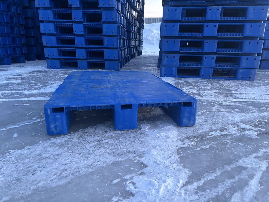 Продам евро поддоны