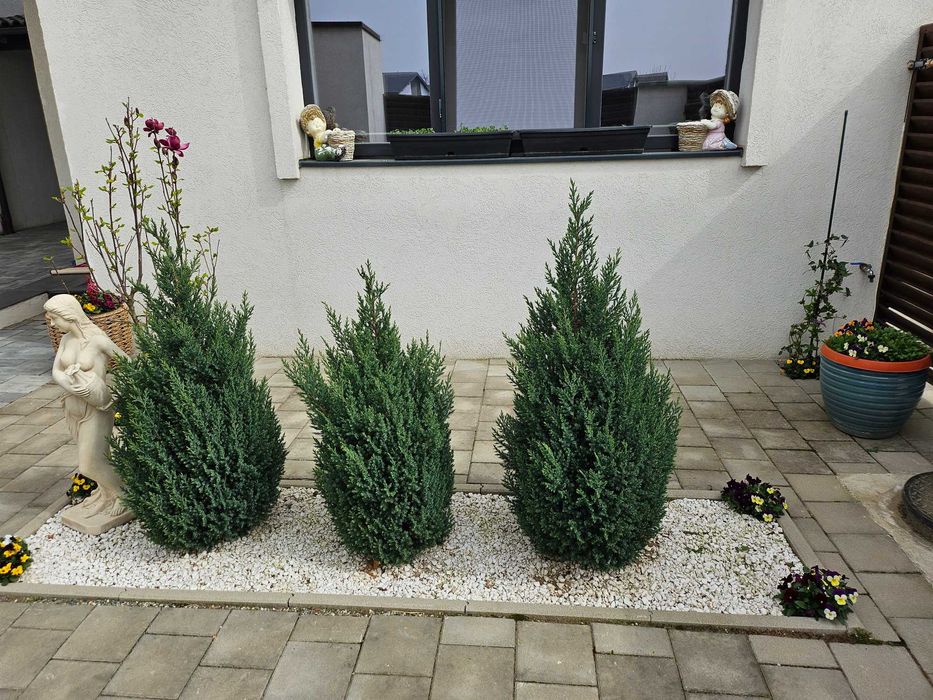 Casa de vanzare individuala