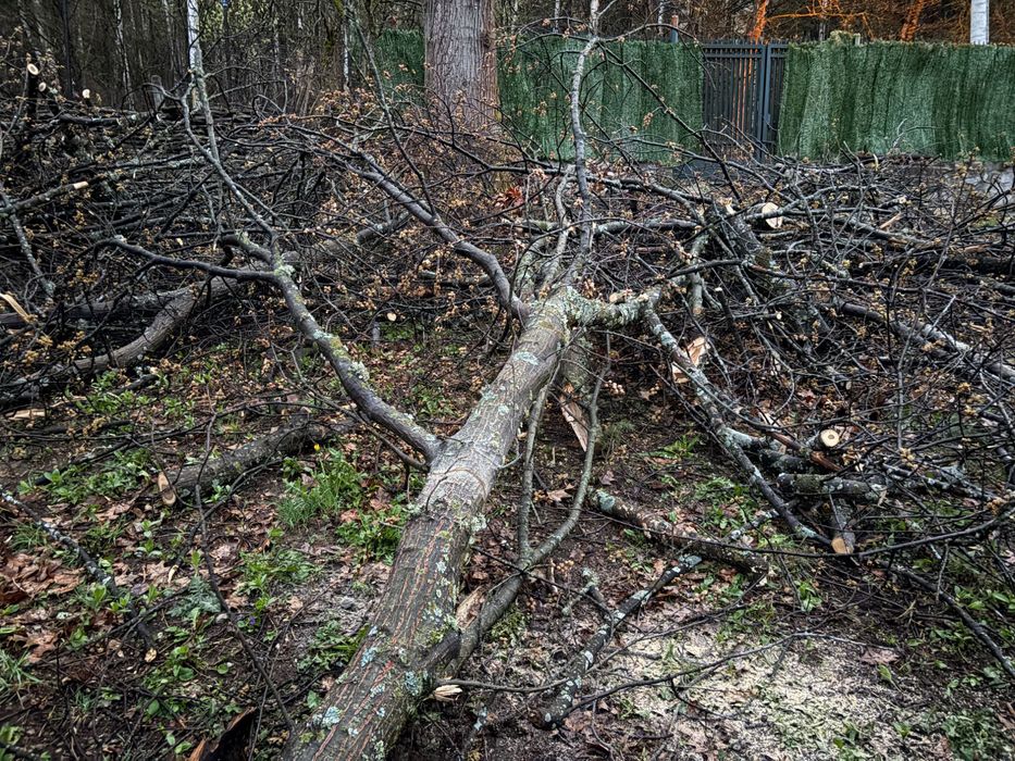 [обещани] Безплатно - дърва за огрев или дърводелство