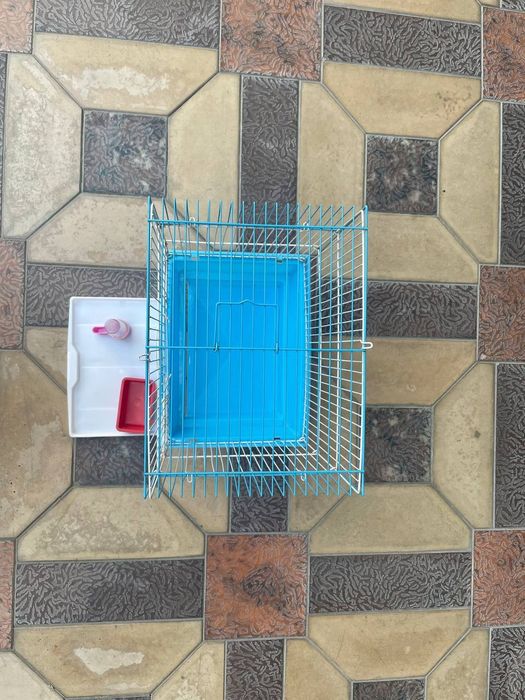 Kapas sotiladi.Papugayga va Kanareyka uchun.