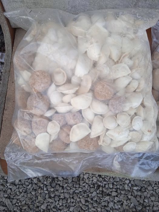 2500т для  собак и кошек