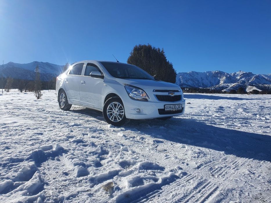 Kobalt 2024 ga 2025 metan bor