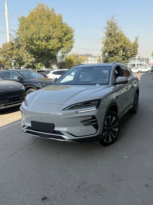 BYD chempion 2025 Smart