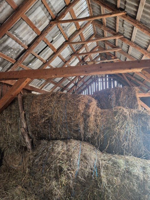 Vand baloti fan, otava, lucerna