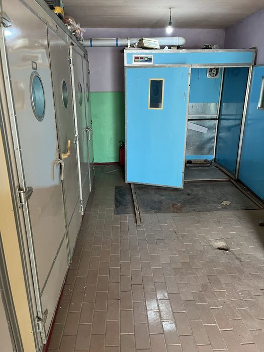 Продам инкубатор Уневерсальный для Птиц