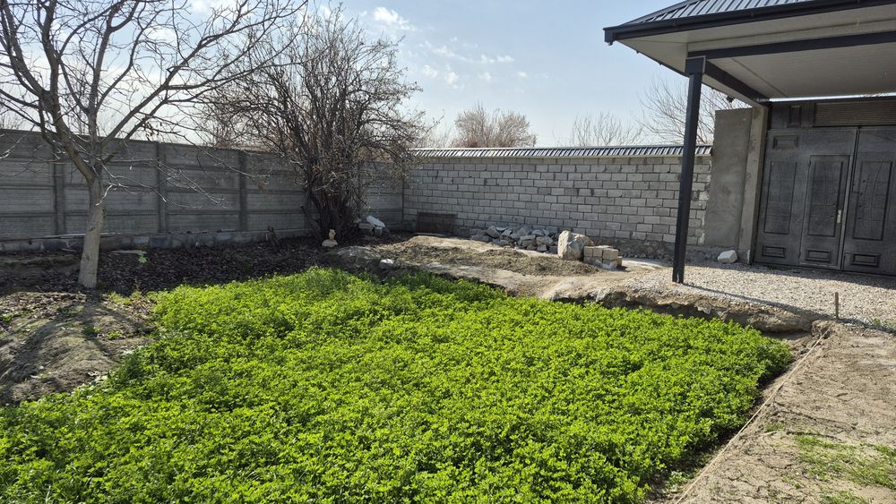 Кармана туман марказидан ховли сотилади