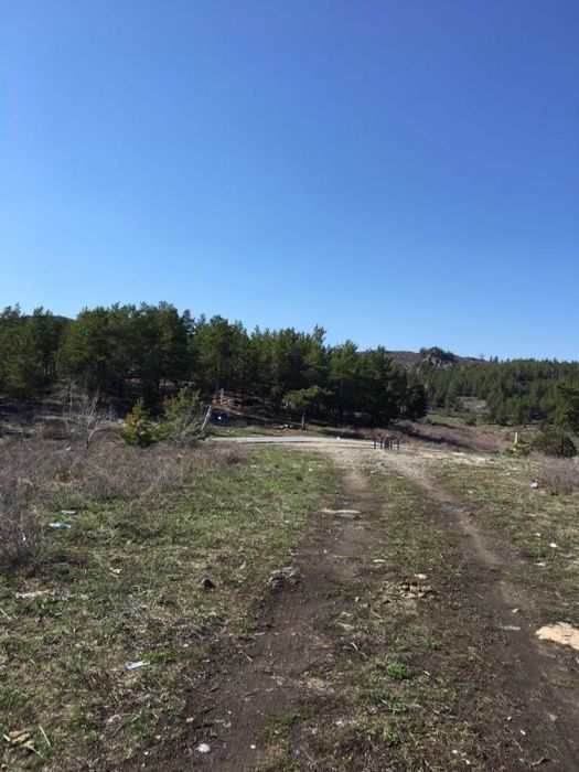 Продам участки в Новой Бухтарме