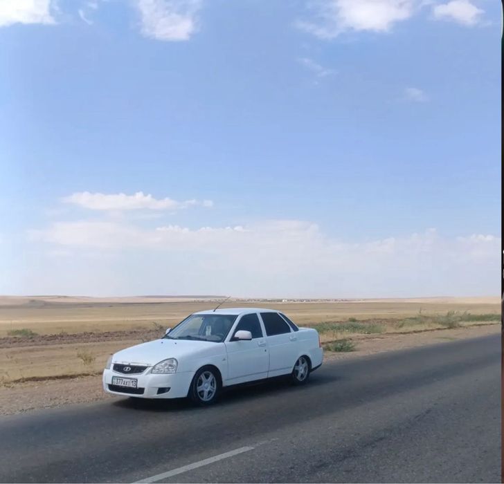 Торус диск R15 летний