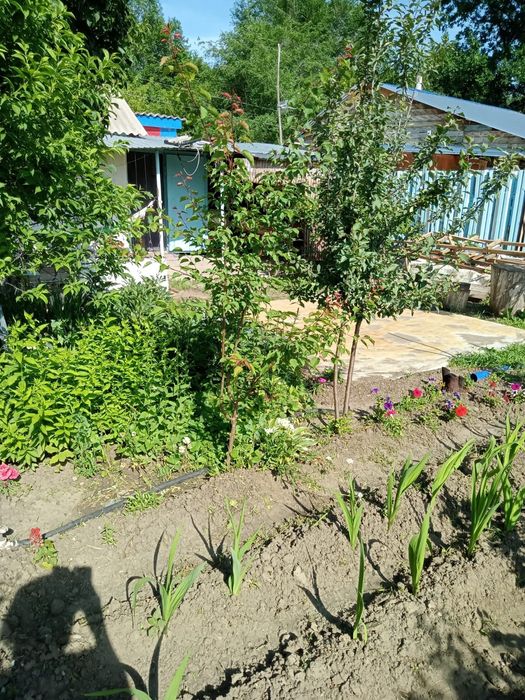Продам дачу (6,6 соток)