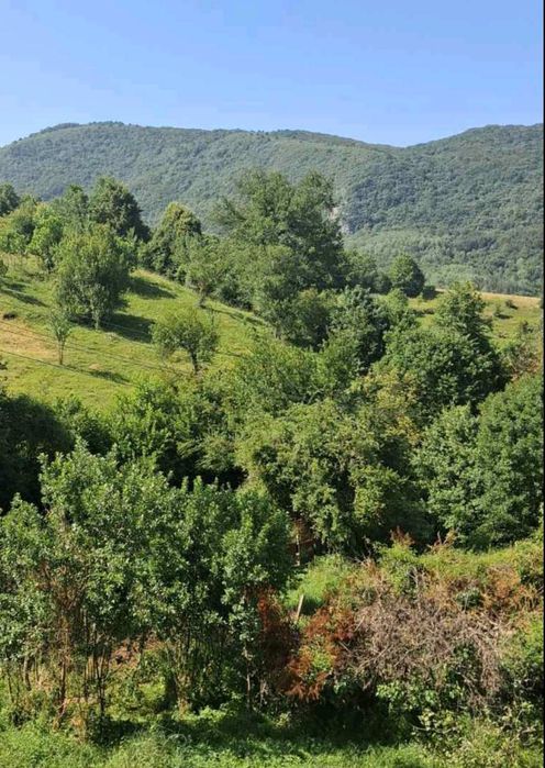 Продава се Къща в с. Филиповци, Област Перник - 82 кв.м за 899 €/кв.м - Снимка #2