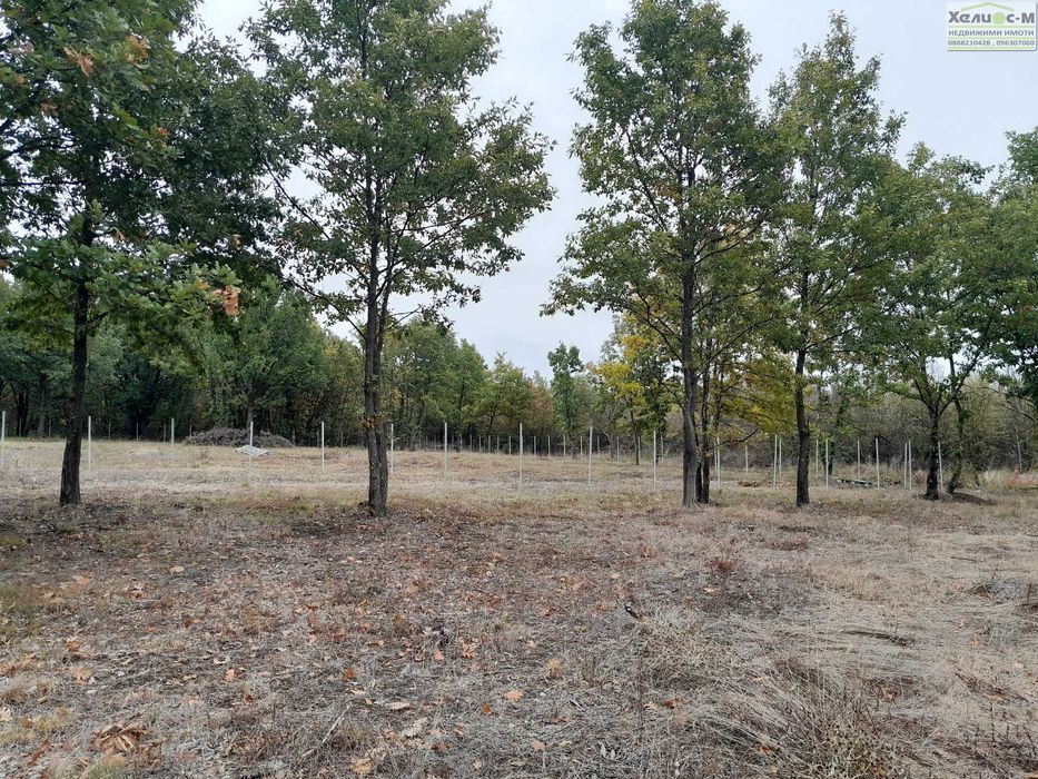 Парцел в местност Расника до яз.Огоста, гр.Монтана