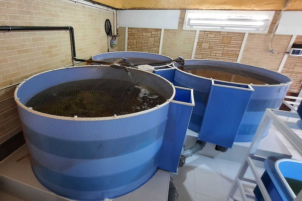 Эко-бассейны для рыбного хозяйства из полипропилена, биофильтры