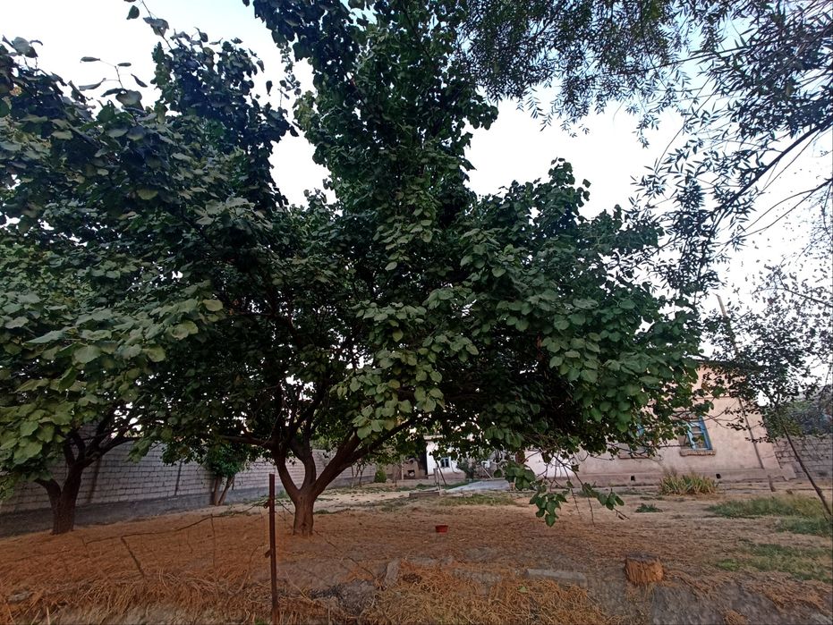 Уй сотилади. 8 соток. Сергели ва Янгихаёт га якин. Ор. Лайлак махал