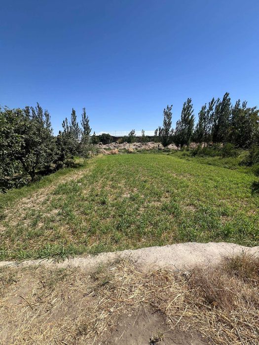 Arzon Xovli sotiladi Qiziltepa Toshrabot