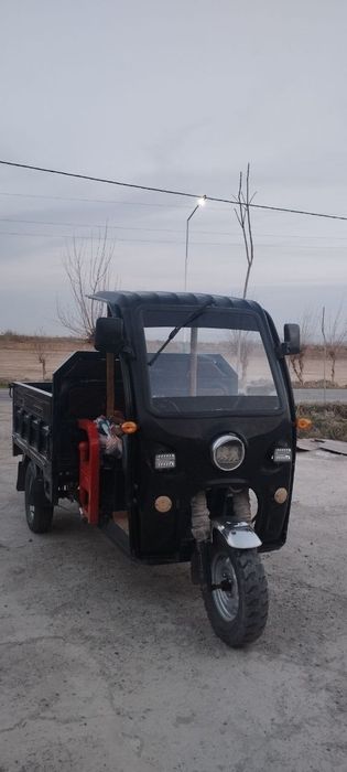 Drongo electron muravey