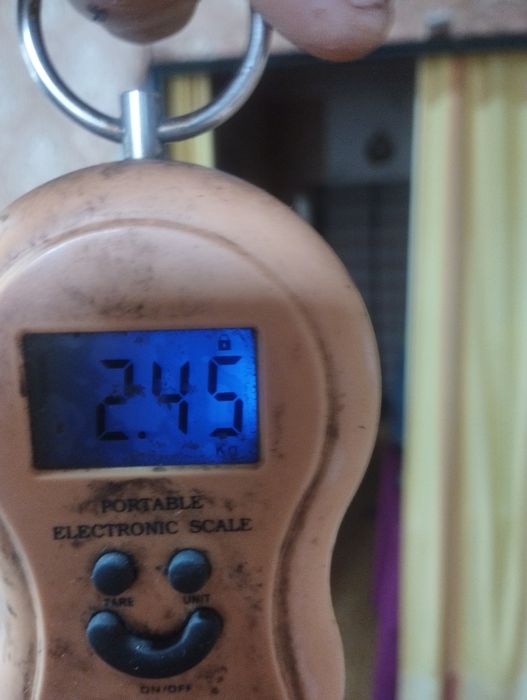 Продам кувалду 2,45 кг