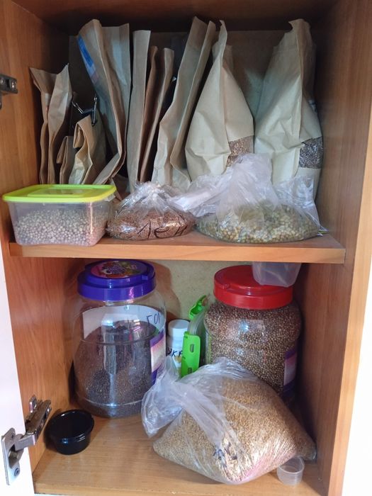 Бизнес микрозелень