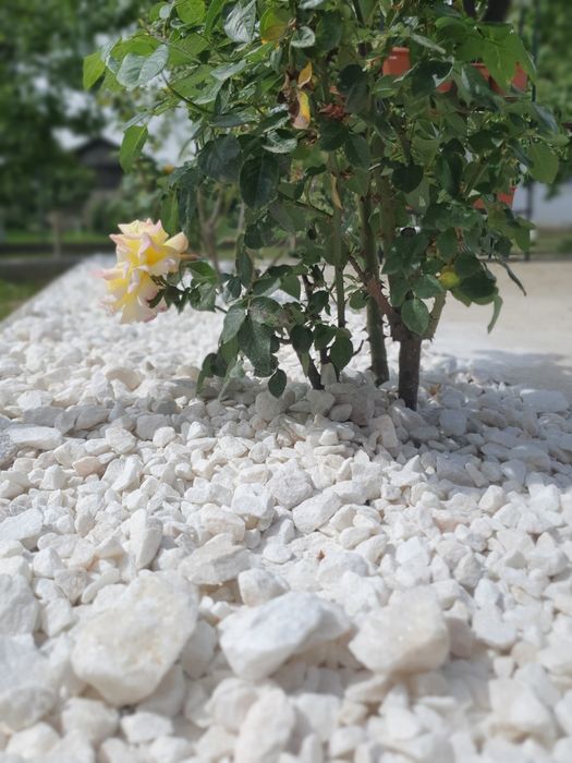Piatră Decorativă,Marmură Albă  pentru Amenajari Gradini,Spatii Verzi