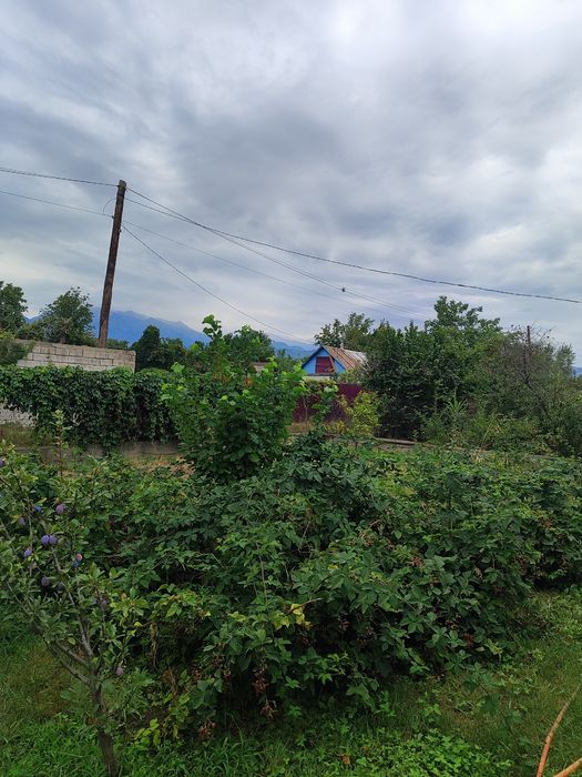 Продам дачу в Иссыке