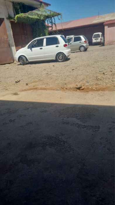 Suxoy arendaga matiz