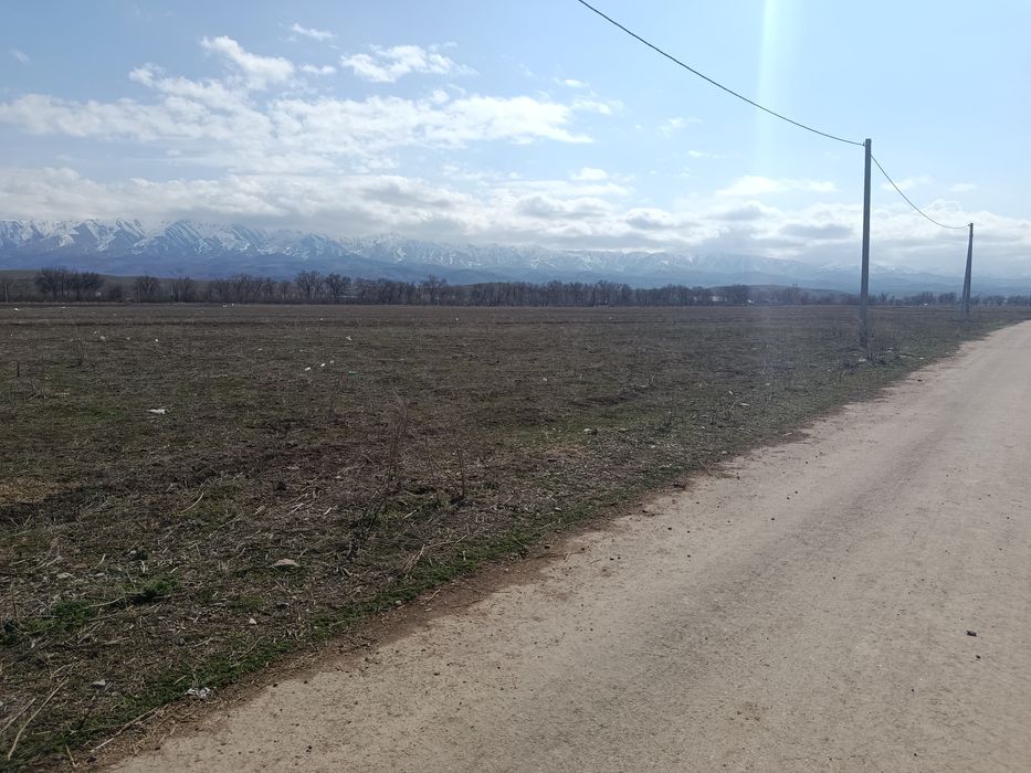 Жер учаскесін сату