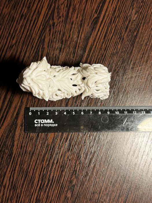 Маленькая белая балонка