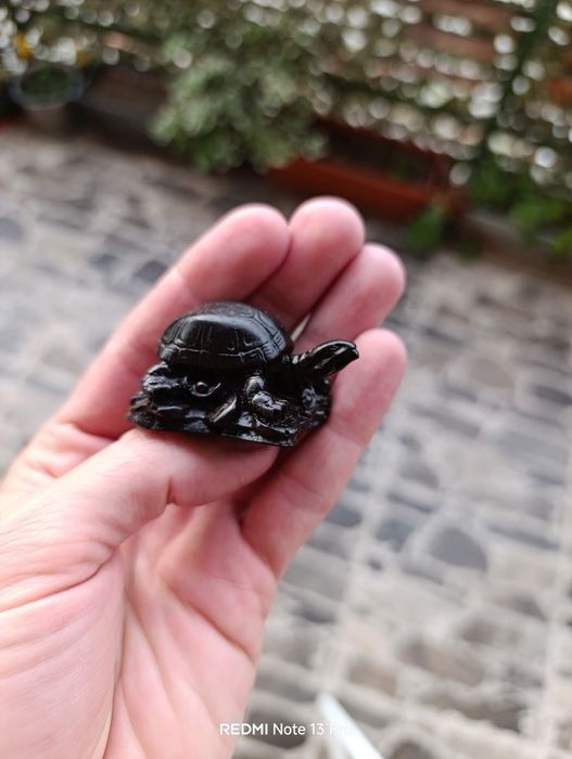 Малки костенурки