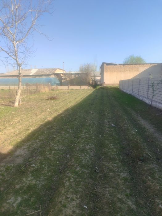 Yangi hayot yer sotiladi 10.000$