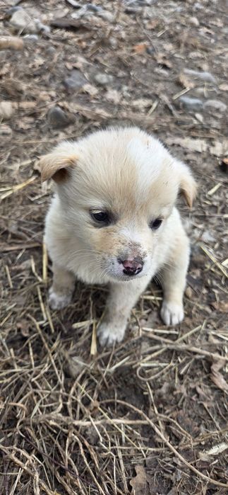 Пристраиваются малыши