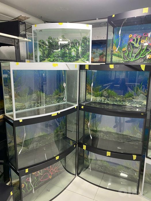 AquaTerra Akvarium Do'koni