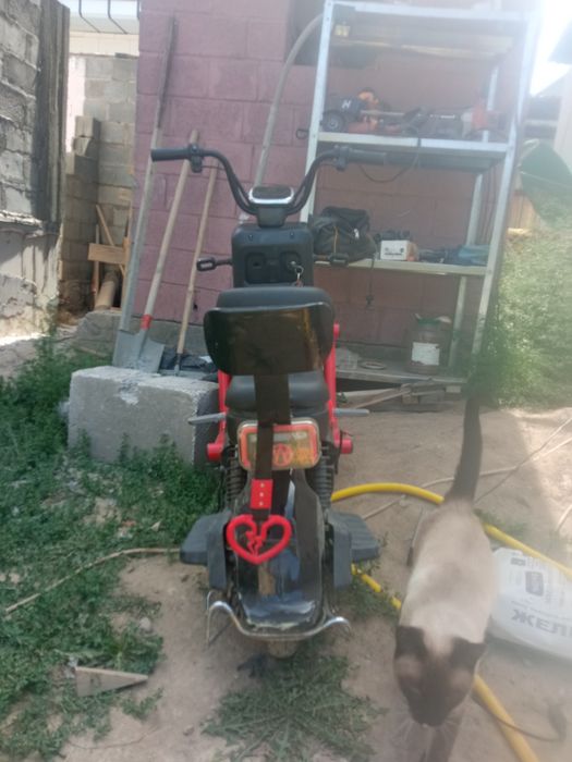 Танк 500 ватт торг