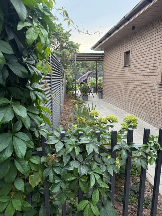 Ландшафтный дизайн