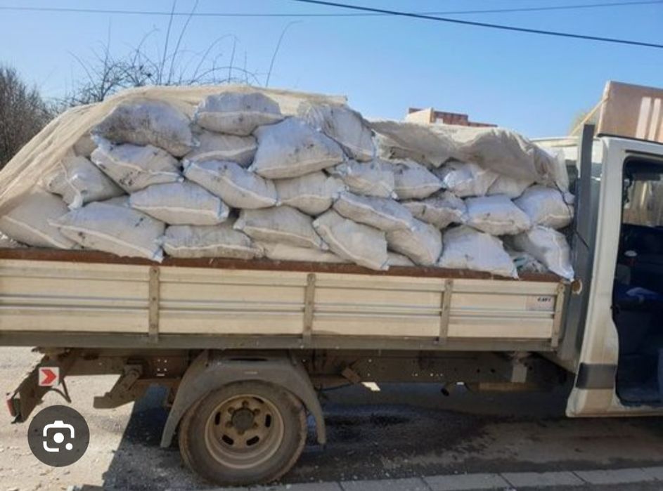 Curățenie curte transport Moluz