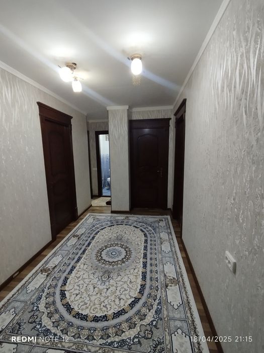 Porno shirali mushuk